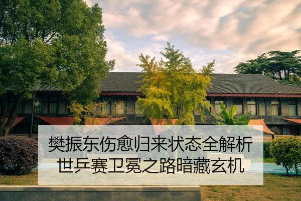 樊振东伤愈归来状态全解析 世乒赛卫冕之路暗藏玄机